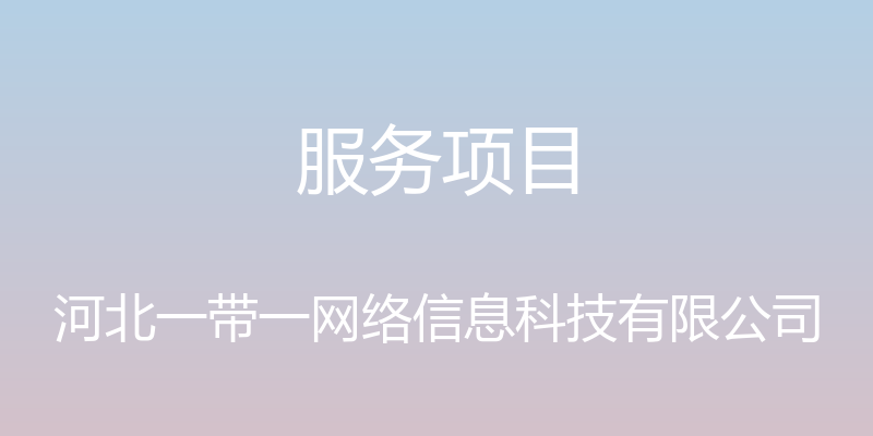 服务项目 - 河北一带一网络信息科技有限公司